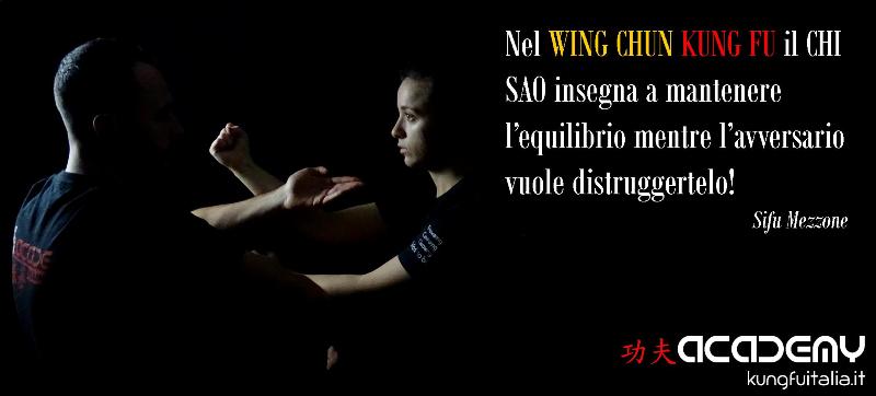 Kung Fu Academy Caserta di Sifu Salvatore Mezzone Accademia di Wing Chun e Tai Chi Quan (1)